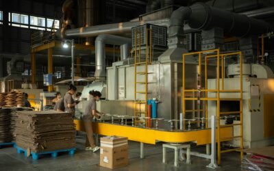 Carton Machine Decisions That Streamline Cosmetic Lines
